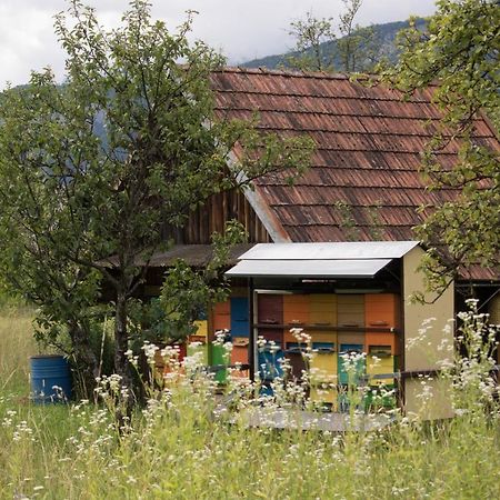 Apartma Petra Ravnik - Wanderer'S Hut Διαμέρισμα Bohinj Εξωτερικό φωτογραφία